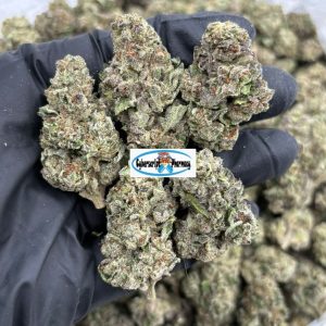 Obama Runts Cannabis