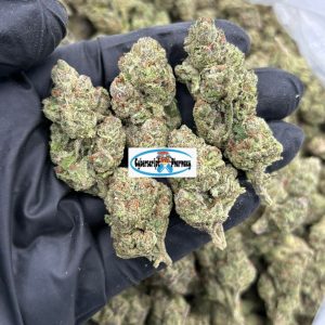 Lemon Cherry Gelato Cannabis